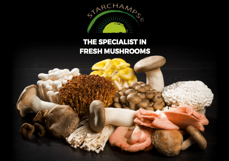 Starchamps Mushrooms Specialist
