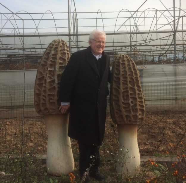 Bezoek Morilles Kwekerij