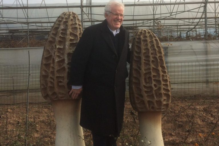 Bezoek Morilles Kwekerij