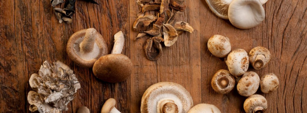 paddenstoelen_heroverwegen Paddenstoelen Heroverwegen