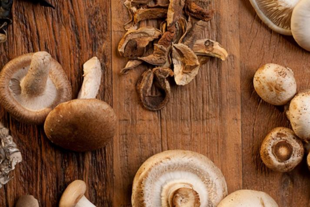 Paddenstoelen Heroverwegen