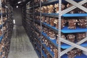 Processcontrol Magazine