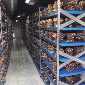 Processcontrol Magazine